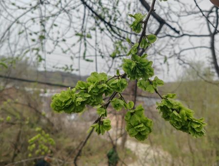 圖片1 圖片1